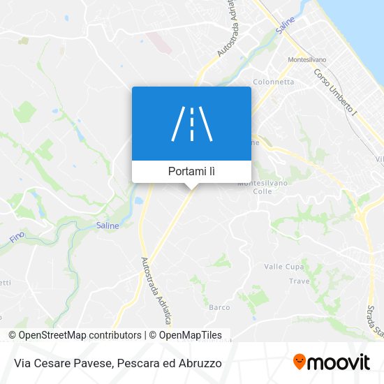 Mappa Via Cesare Pavese