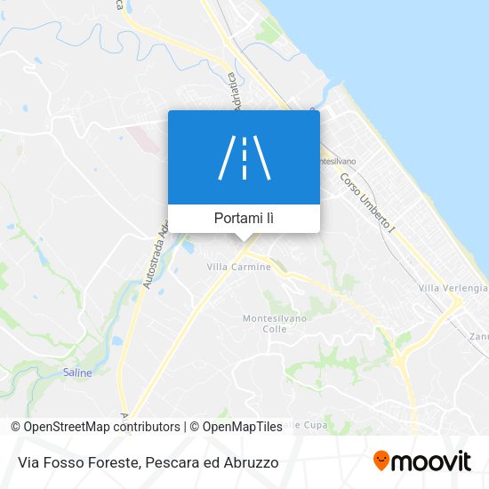 Mappa Via Fosso Foreste