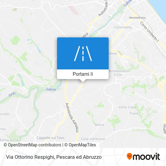 Mappa Via Ottorino Respighi