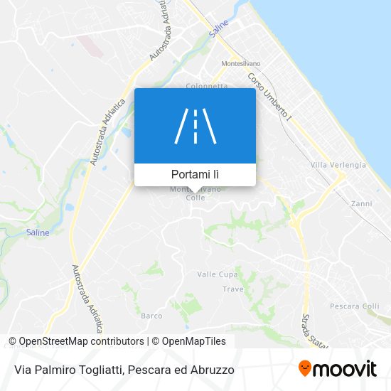 Mappa Via Palmiro Togliatti