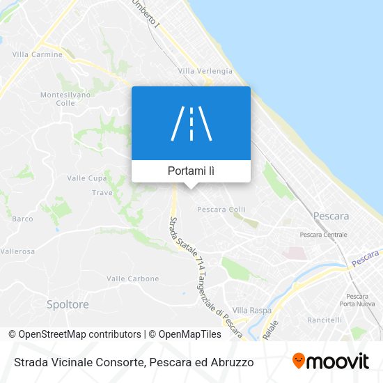Mappa Strada Vicinale Consorte