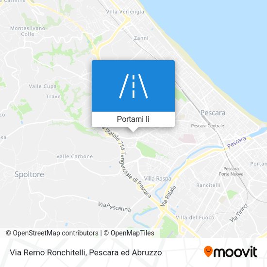 Mappa Via Remo Ronchitelli