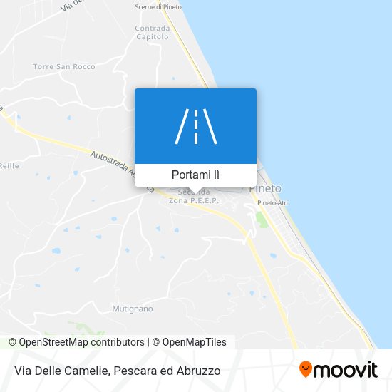 Mappa Via Delle Camelie