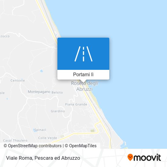 Mappa Viale Roma