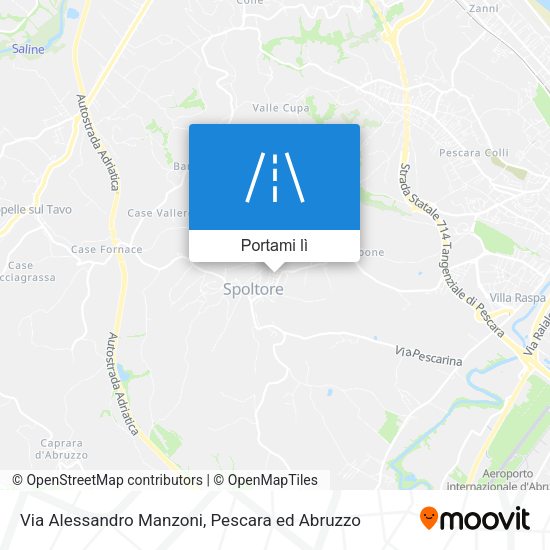 Mappa Via Alessandro Manzoni