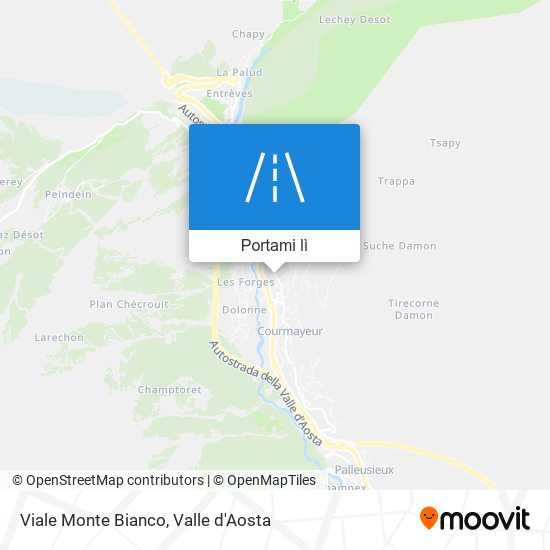 Mappa Viale Monte Bianco