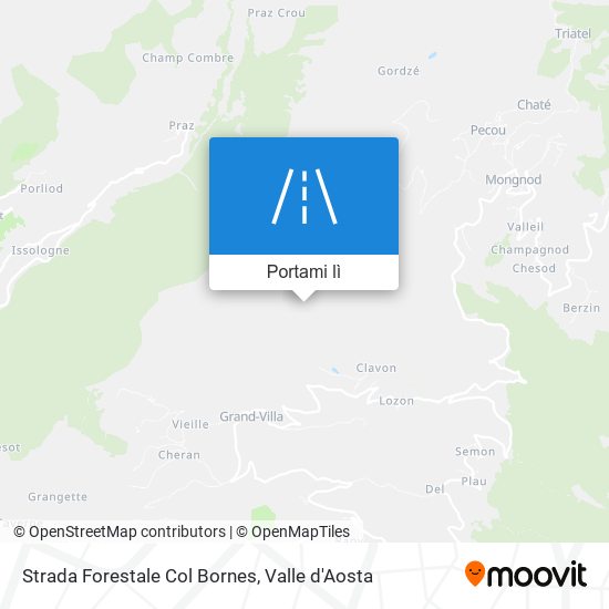 Mappa Strada Forestale Col Bornes