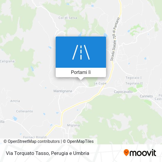 Mappa Via Torquato Tasso