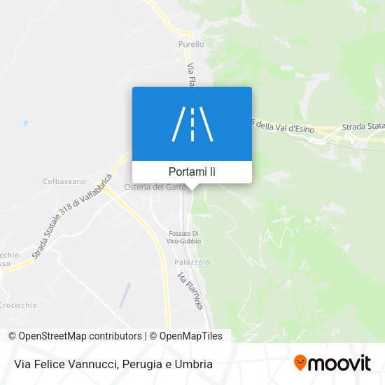 Mappa Via Felice Vannucci