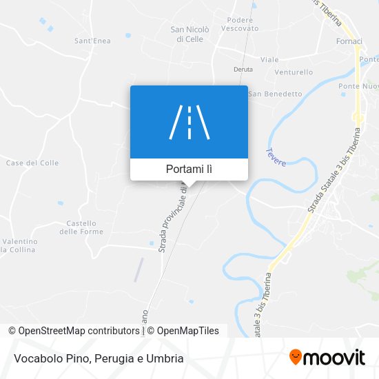 Mappa Vocabolo Pino