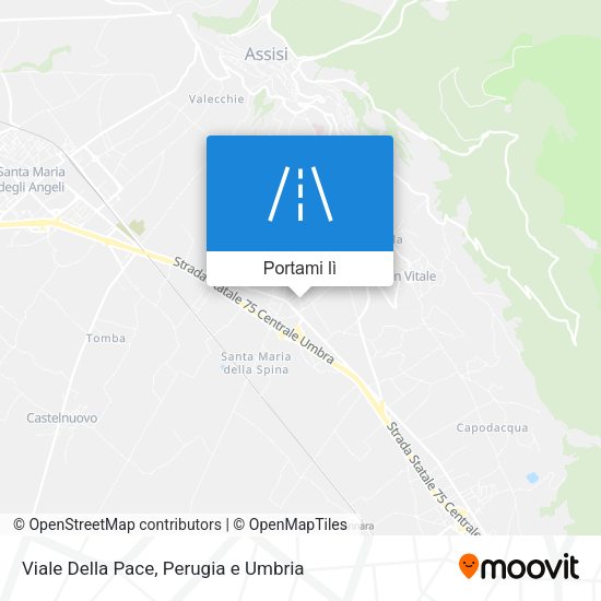 Mappa Viale Della Pace