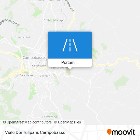 Mappa Viale Dei Tulipani