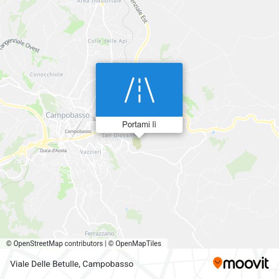 Mappa Viale Delle Betulle