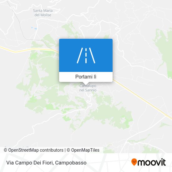 Mappa Via Campo Dei Fiori