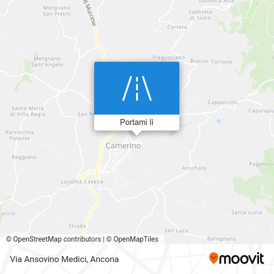 Mappa Via Ansovino Medici