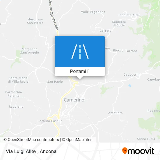 Mappa Via Luigi Allevi