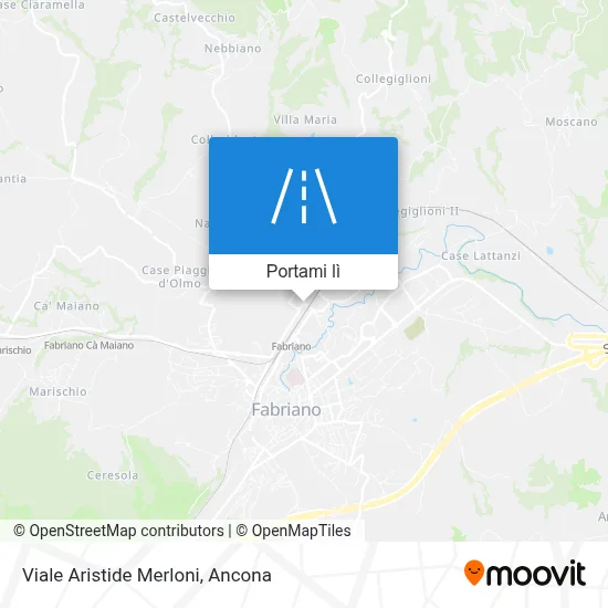 Mappa Viale Aristide Merloni