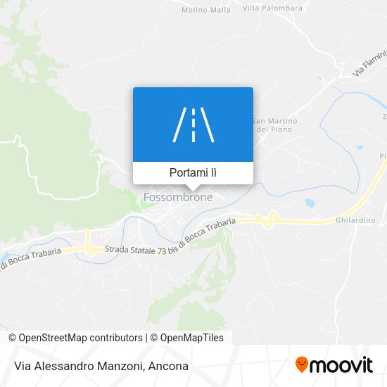 Mappa Via Alessandro Manzoni
