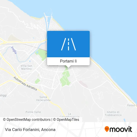 Mappa Via Carlo Forlanini