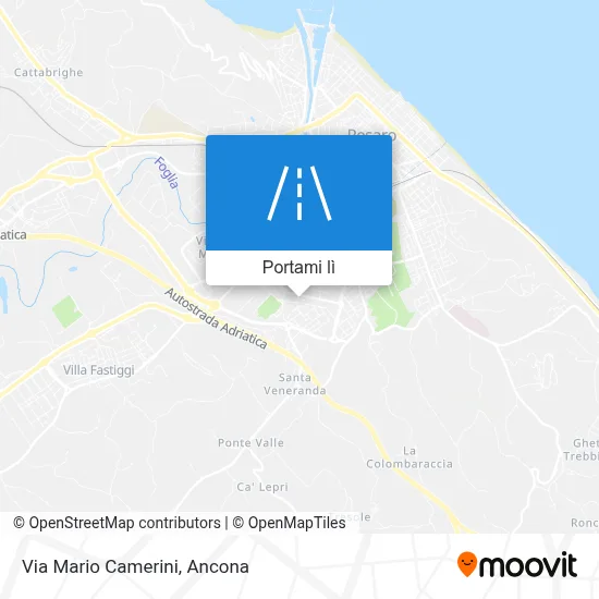 Mappa Via Mario Camerini