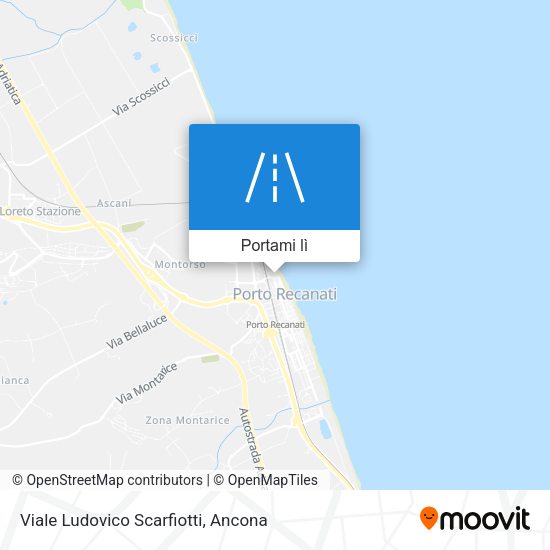 Mappa Viale Ludovico Scarfiotti