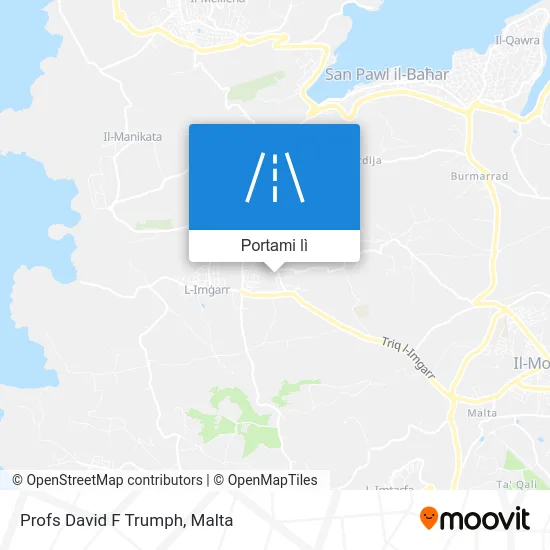 Mappa Profs David F Trumph