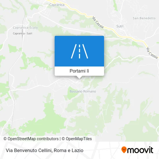Mappa Via Benvenuto Cellini