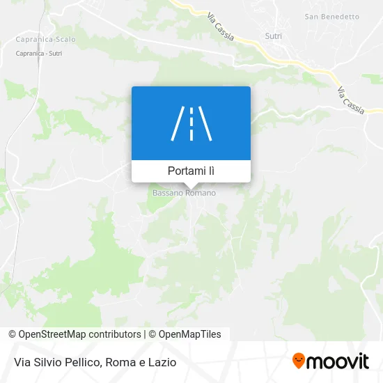 Mappa Via Silvio Pellico