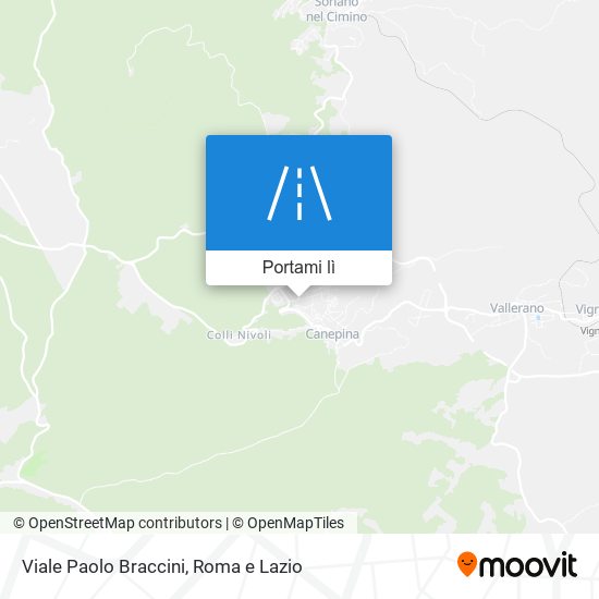 Mappa Viale Paolo Braccini