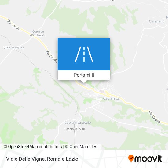 Mappa Viale Delle Vigne