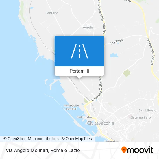 Mappa Via Angelo Molinari