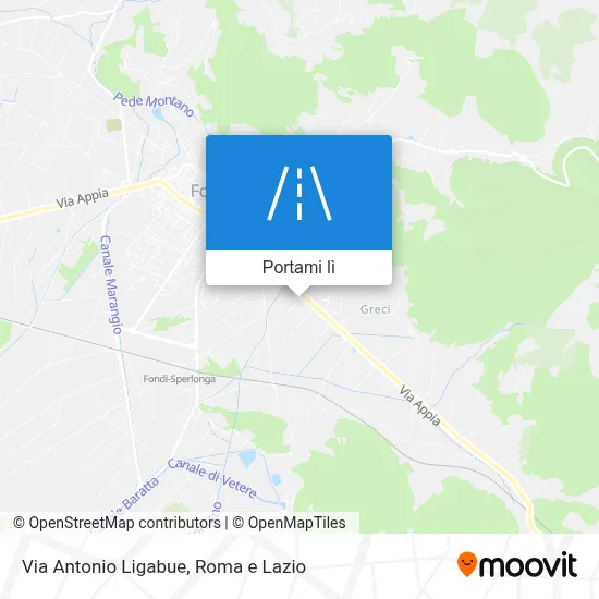 Mappa Via Antonio Ligabue