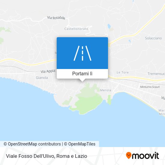 Mappa Viale Fosso Dell'Ulivo