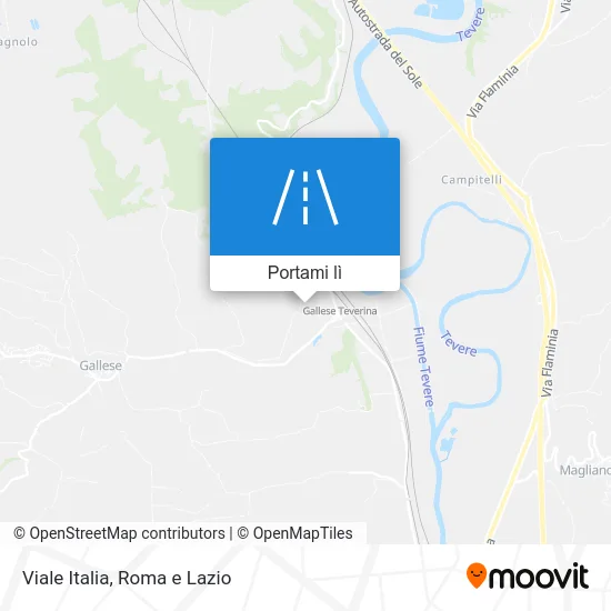 Mappa Viale Italia
