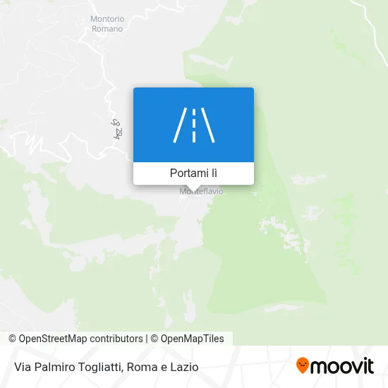 Mappa Via Palmiro Togliatti