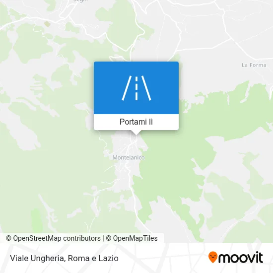 Mappa Viale Ungheria