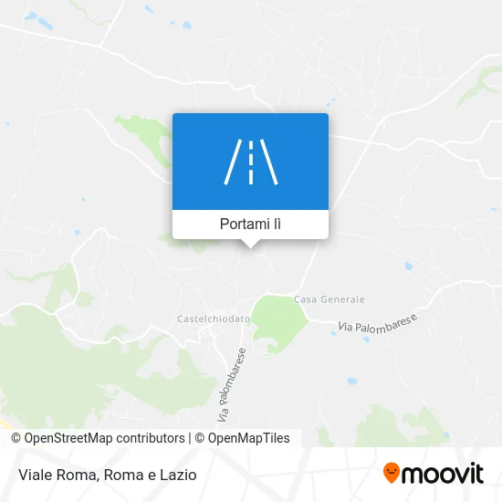 Mappa Viale Roma