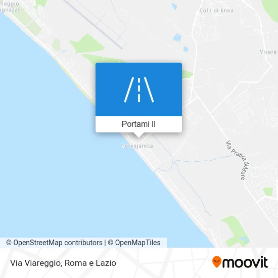 Mappa Via Viareggio