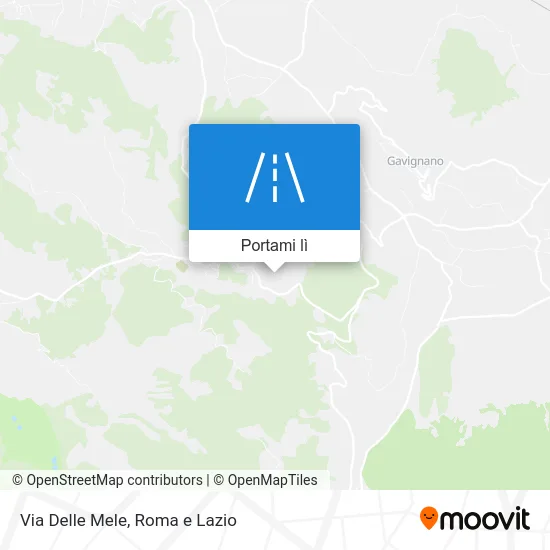 Mappa Via Delle Mele