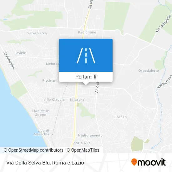 Mappa Via Della Selva Blu
