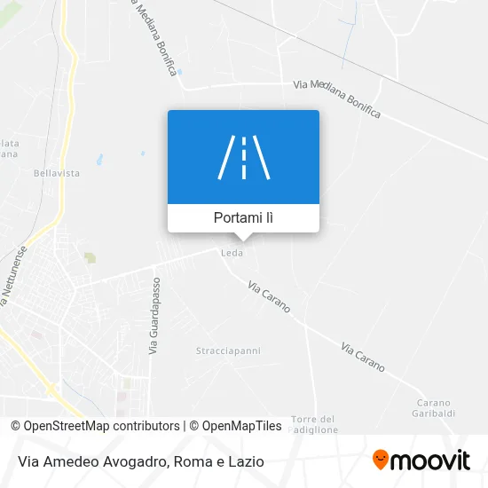 Mappa Via Amedeo Avogadro