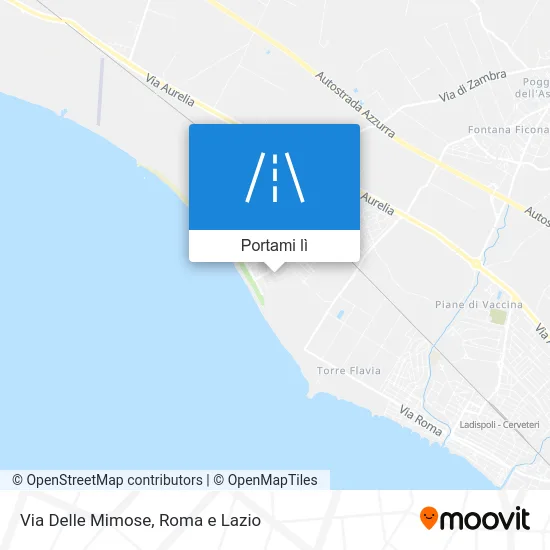 Mappa Via Delle Mimose