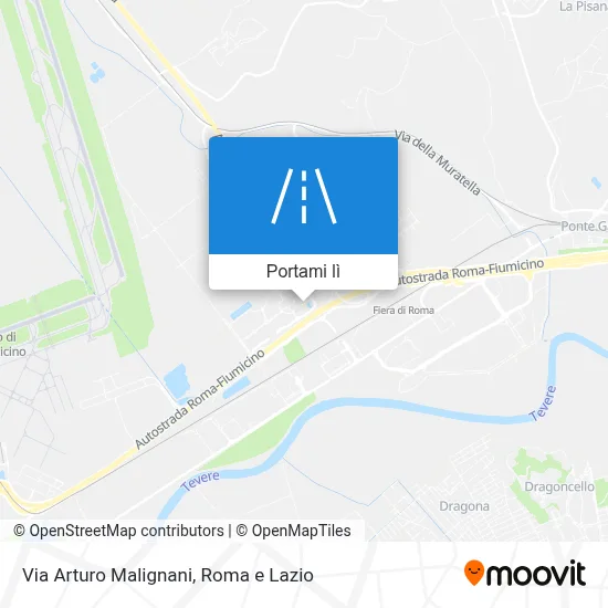 Mappa Via Arturo Malignani