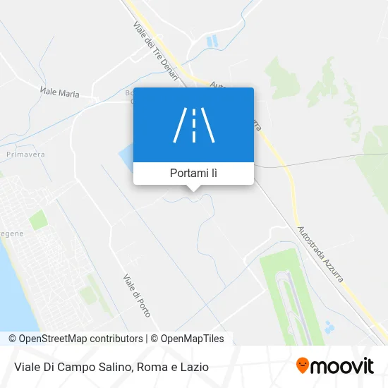 Mappa Viale Di Campo Salino