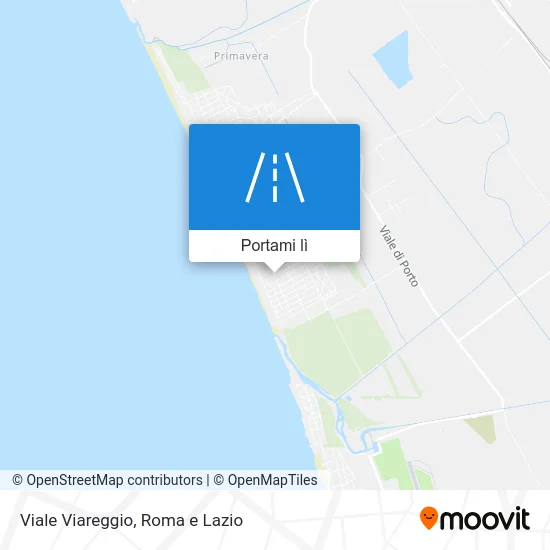Mappa Viale Viareggio