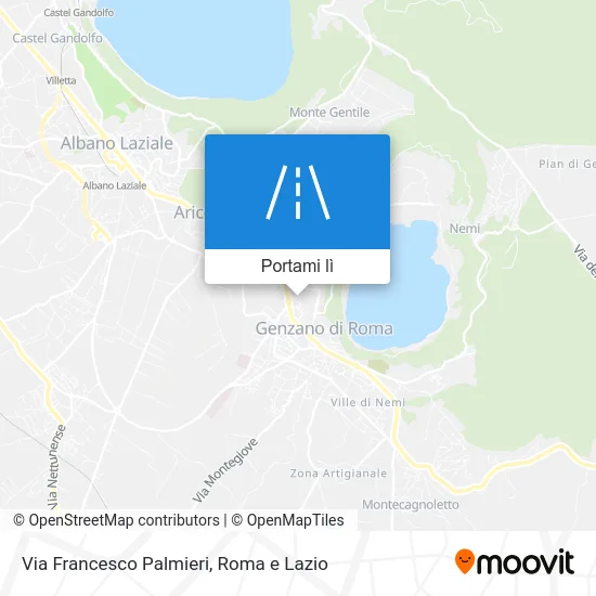 Mappa Via Francesco Palmieri