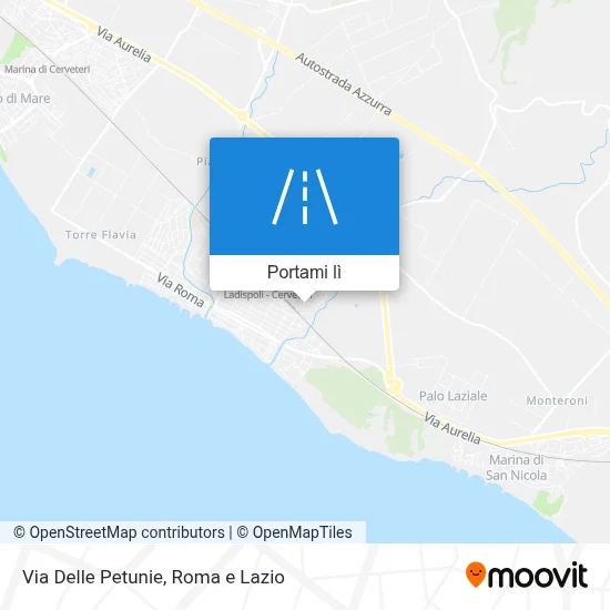 Mappa Via Delle Petunie
