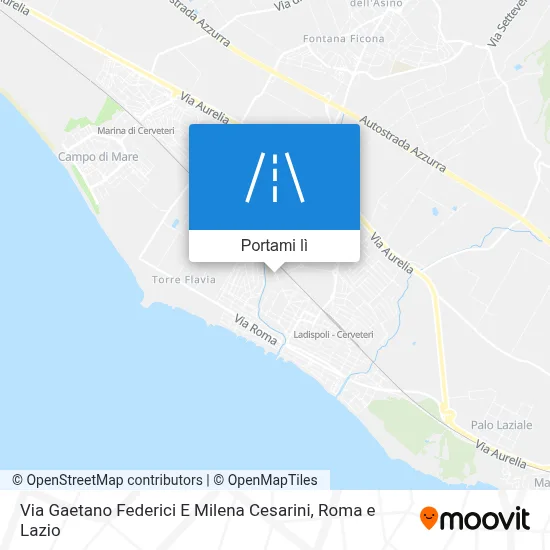 Mappa Via Gaetano Federici E Milena Cesarini