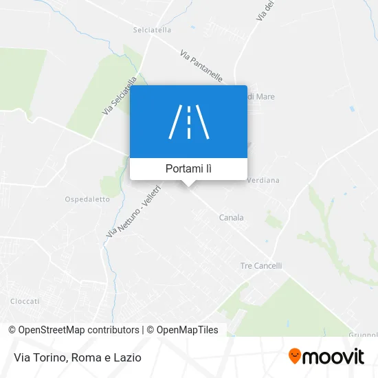 Mappa Via Torino