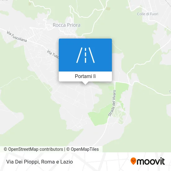 Mappa Via Dei Pioppi